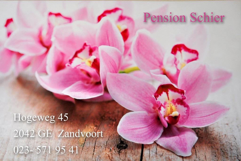 Pension Schier 잔드보르트 외부 사진
